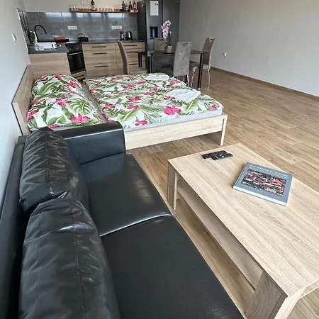 Slovacko Apartment *